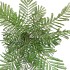 SILK ALBIZIA JULIBRISSIN UMBRELLA PLANT GREEN 97CM ]